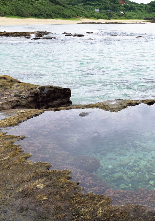 图片[3]-#Karen Kaede 楓卡蓮 – Karen\’s Amami Oshima Sightseeing Tour 卡蓮的奄美大島觀光之旅 (2021-10-15) - 全本免费在线观看-阅图吧