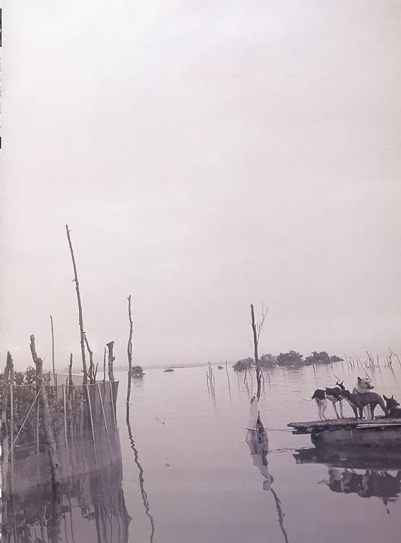 图片[15]-#佐藤宽子 – Peek a Boo! (ringo_scan) - 全本免费在线观看-阅图吧