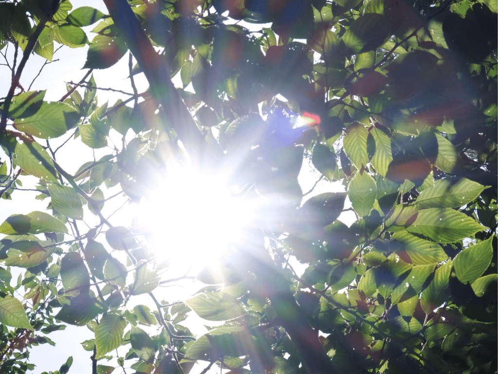 图片[16]-#流川莉央 写真集 温柔眼神 - 全本免费在线观看-阅图吧