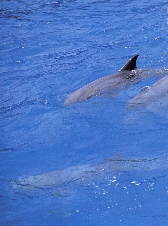 图片[90]-#佐藤宽子 – Peek a Boo! (ringo_scan) - 全本免费在线观看-阅图吧