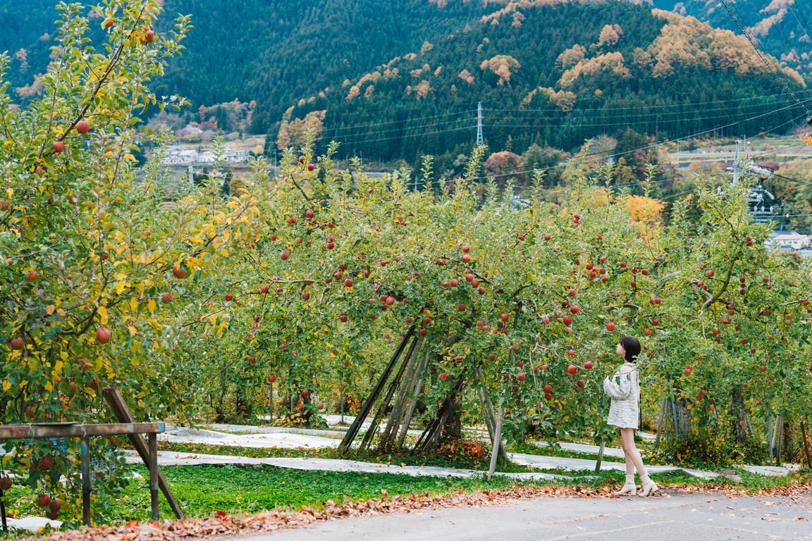 图片[16]-#けん研 (けんけん) 温泉巡游けんけん二泊三日 - 全本免费在线观看-阅图吧