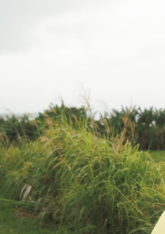 图片[113]-#【特典画像43张附】步利惠子 1st写真集数字完全版 SPHERE - 全本免费在线观看-阅图吧