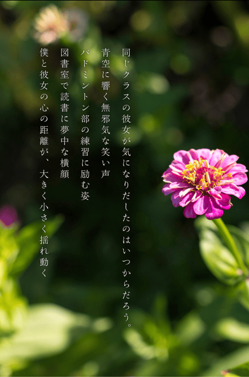 图片[3]-Hana Shirato 白桃花 - Gravure Photobook Youth #青春 (2021-11-26) - 在线免费观看-阅图吧