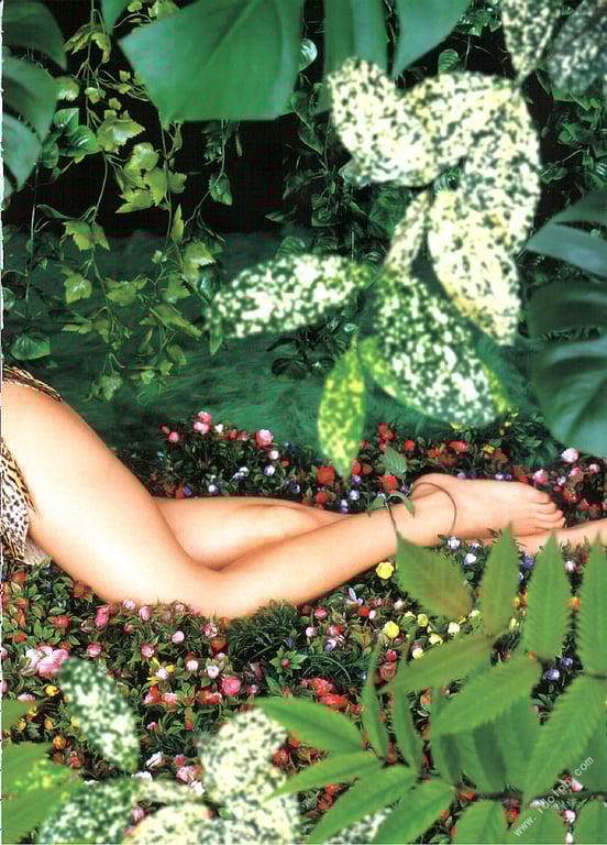 图片[102]-#釈由美子 写真集 别册釈由美子 - 全本免费在线观看-阅图吧