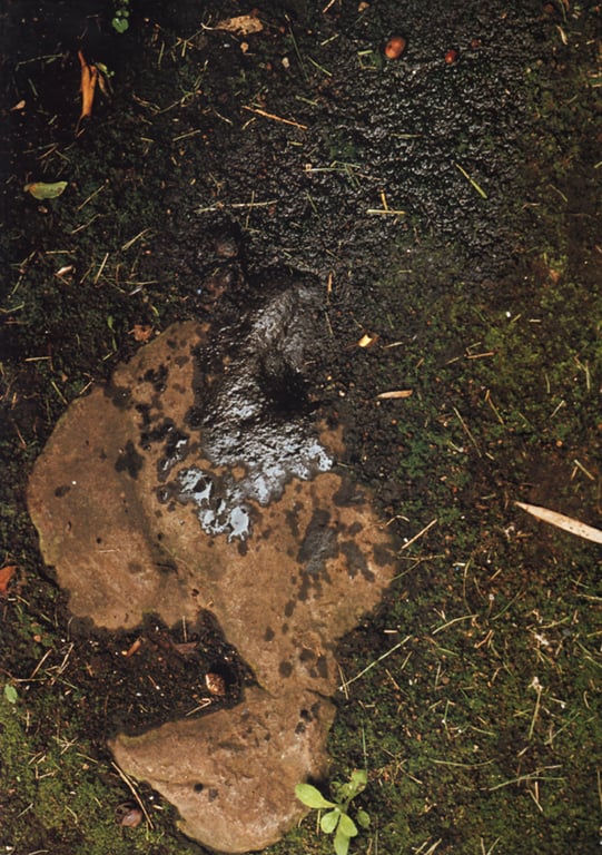 图片[10]-#(月刊シリーズ 053) – 月刊053 鶇 - 全本免费在线观看-阅图吧