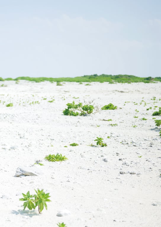 图片[38]-#南里美希 首本写真集 『 heavenly 』 - 全本免费在线观看-阅图吧