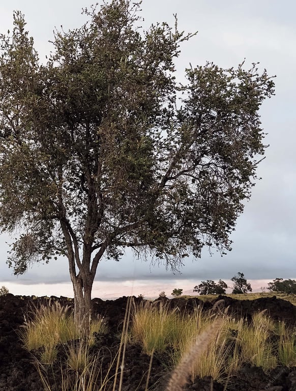 图片[105]-#Lele 西野翔写真集 朝艺SEXY女优写真集 - 全本免费在线观看-阅图吧