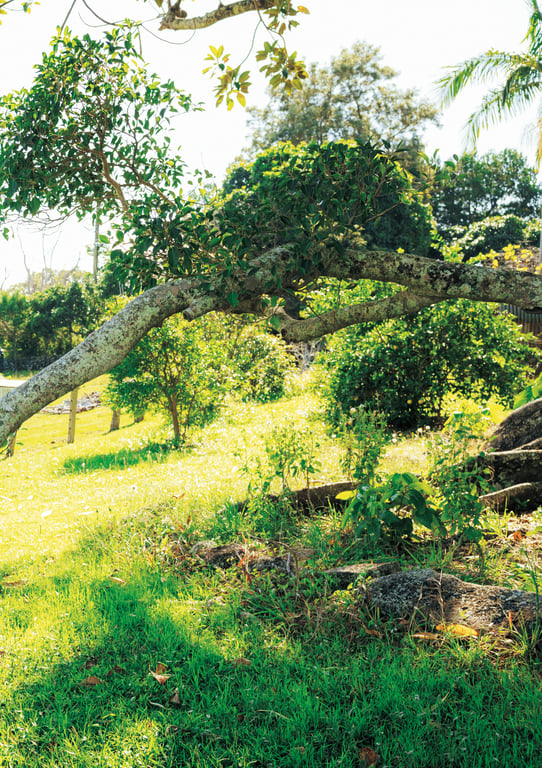 图片[32]-2024.09.12 田中美久写真集「随心所欲。」 (週プレ PHOTO BOOK) - 在线免费观看-阅图吧