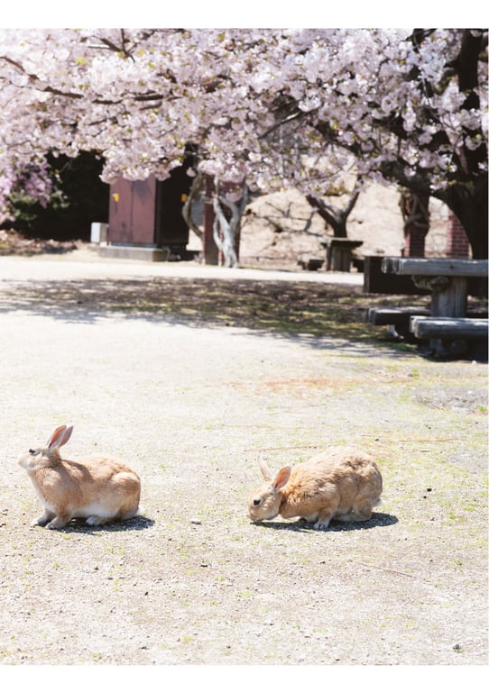 图片[28]-市川美织1st写真集 PRIVATE - 在线免费观看-阅图吧