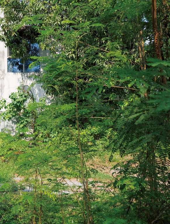 图片[38]-Tsukasa Aoi 葵司 AS I AM -如实- 朝日艺能SEXY女演员 (2018.05.29) - 在线免费观看-阅图吧