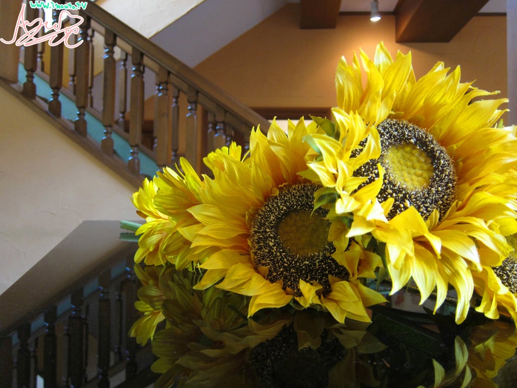 图片[50]-牧原あゆ 『夏少女 maga』 - 在线免费观看-阅图吧