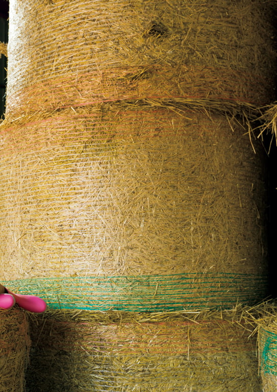 图片[5]-#Aika Sawaguchi 沢口爱华 – Stretching 背伸び (2020-10-28) - 全本免费在线观看-阅图吧