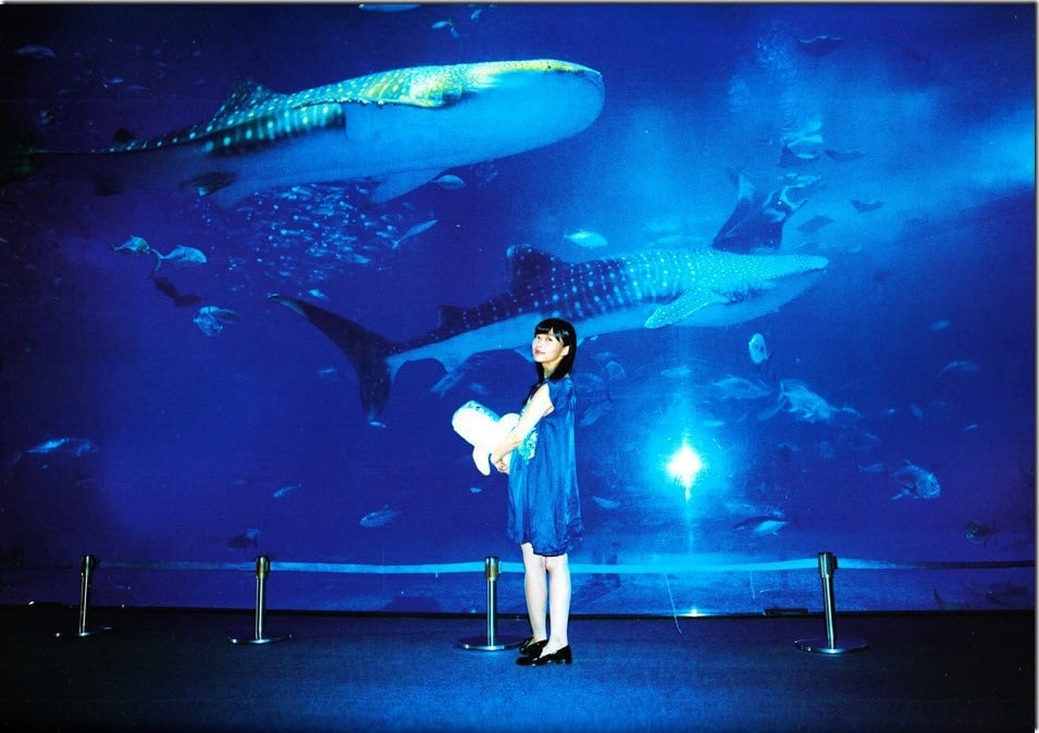 图片[115]-#Rino Sashihara 指原莉乃 – Lost to a cat 输给了猫 (2013-12-26) - 全本免费在线观看-阅图吧