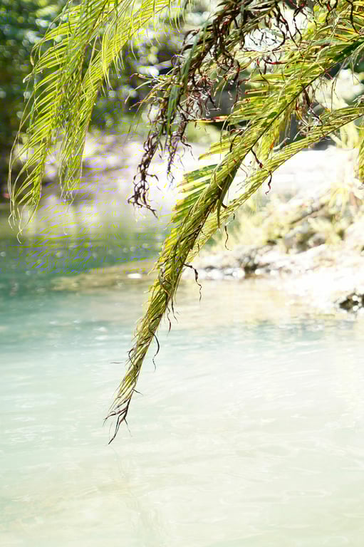 图片[90]-#Rei Toda 戸田玲 – ILiOS -Turn around again and again- ～无论多少次都会回头～ (2021-12-24) - 全本免费在线观看-阅图吧