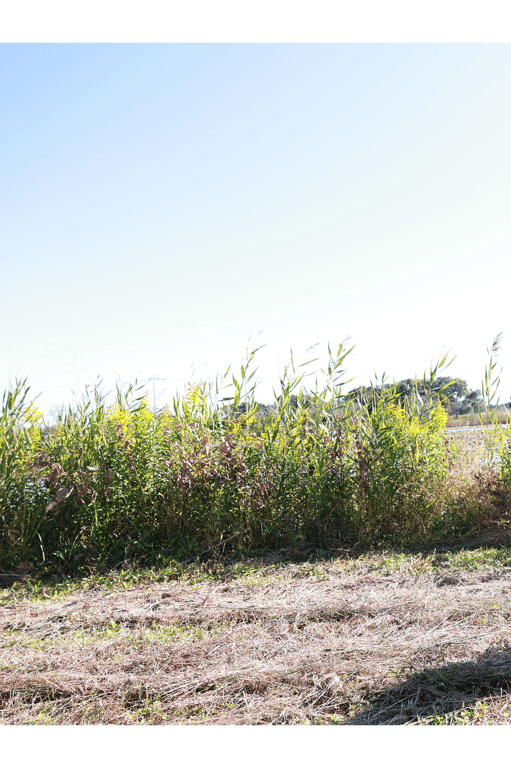 图片[6]-#田中柠檬 SPLASH！ 周刊POST数字写真集 - 全本免费在线观看-阅图吧