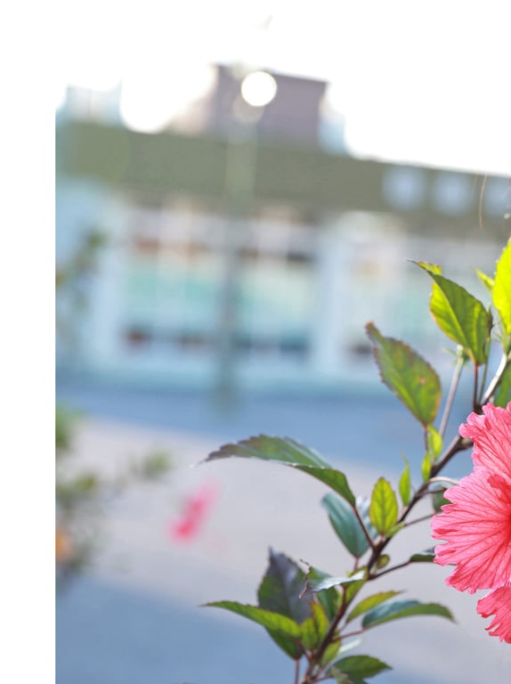 图片[43]-#森 日菜美 １ｓｔ写真集 丰富多彩。 - 全本免费在线观看-阅图吧