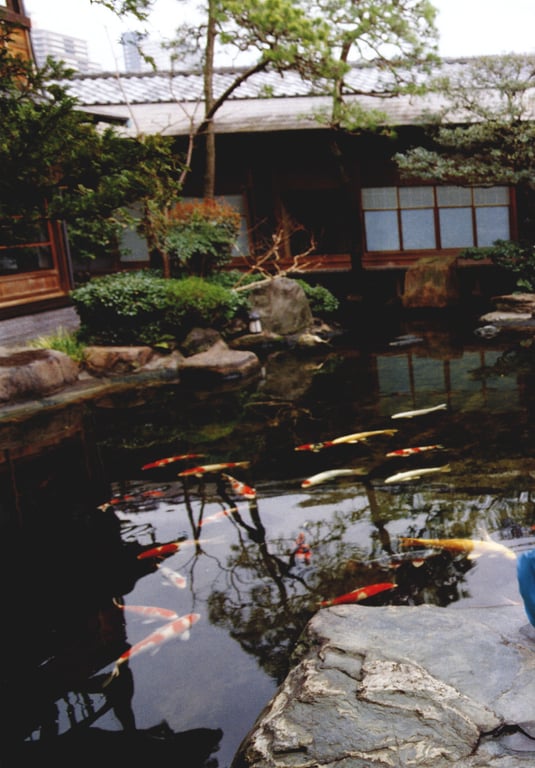 图片[118]-#(月刊シリーズ 057) – 月刊057 佐藤珠绪Special - 全本免费在线观看-阅图吧