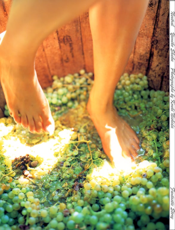 图片[35]-#釈由美子 – Neutral - 全本免费在线观看-阅图吧