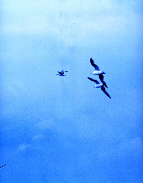 图片[4]-Misaki Ito 伊东美咲 – Umineko 伊东美咲 in 映画《海猫》 - 阅图吧-阅图吧