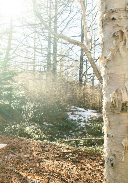 图片[96]-Digital原色美女图鉴 桃子女神公司 浑浊而又透明 - 在线免费观看-阅图吧