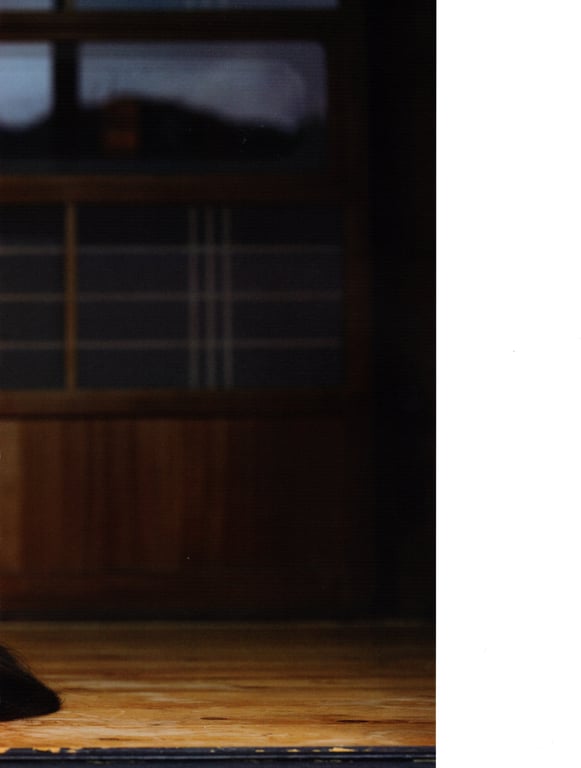 图片[113]-Nao Kosaka 小坂菜绪 1st Photobook - Who are you 你是谁 (2021-06-29) (Canon scan) - 在线免费观看-阅图吧