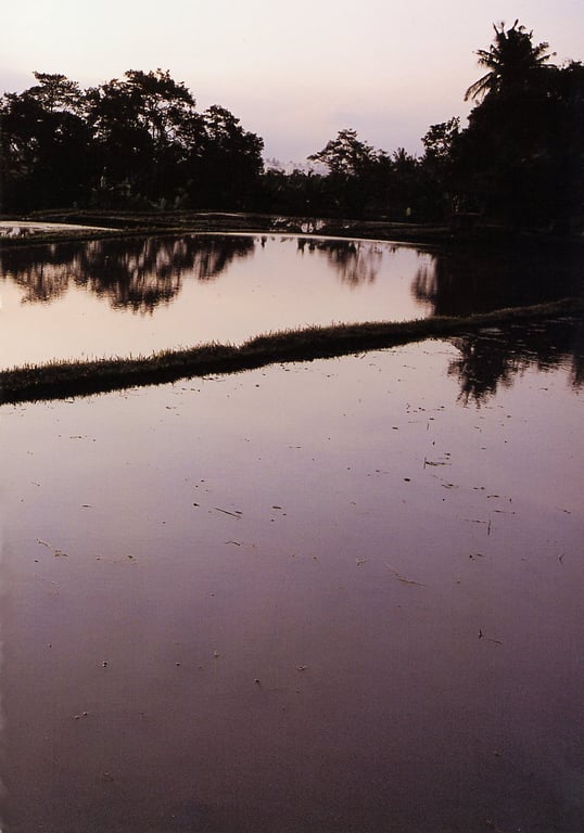 图片[93]-#小倉優子 – 恋心 - 全本免费在线观看-阅图吧