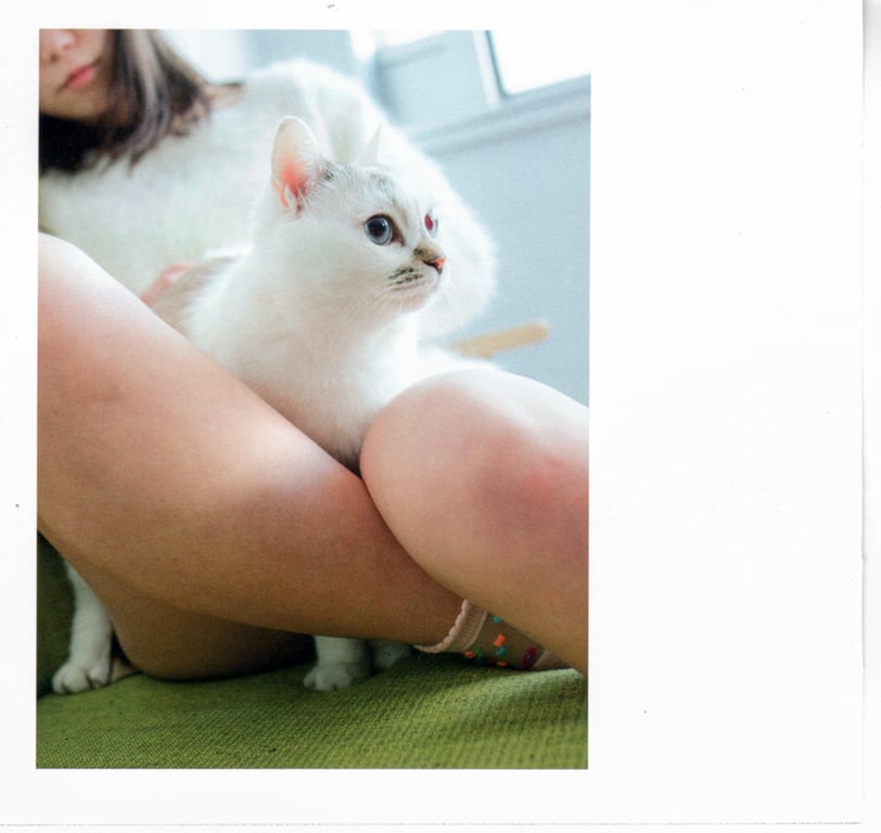 图片[5]-#青山裕企 Photobook 26sets\【青山裕企】猫与大腿 - 全本免费在线观看-阅图吧