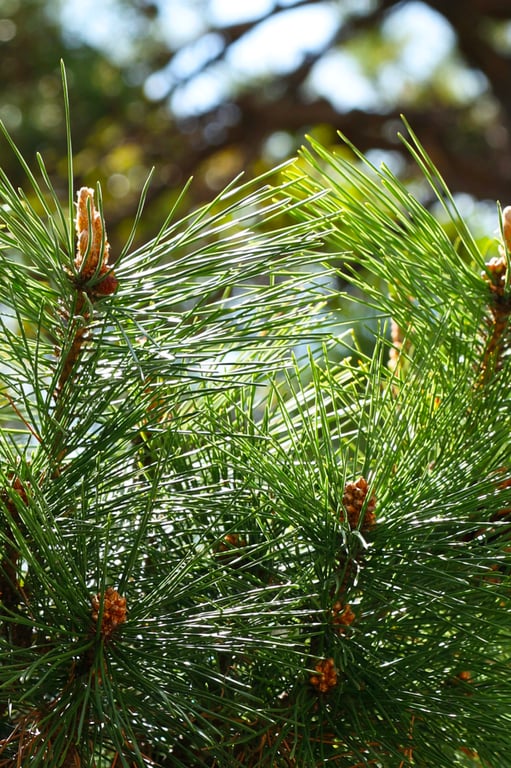 图片[33]-うみに溺れて 及川海【グラビア写真集】 - 在线免费观看-阅图吧