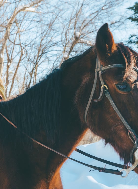 图片[11]-#松下玲绪菜2nd写真集 in the seasons - 全本免费在线观看-阅图吧