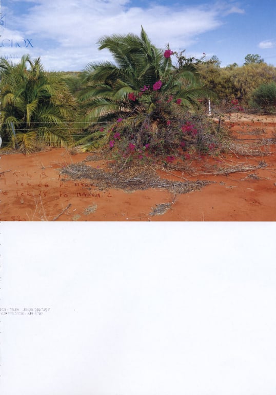 图片[167]-#釈由美子 – CHAOS - 全本免费在线观看-阅图吧