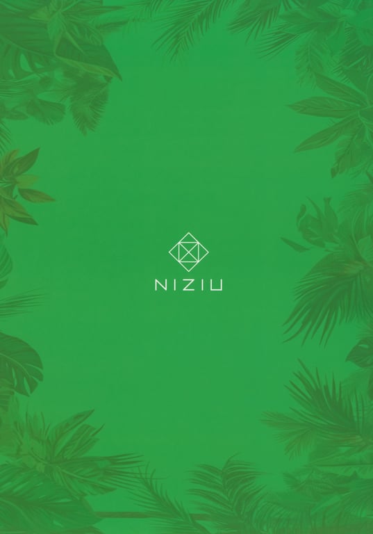 图片[2]-NiziU Live with U 2023 “COCO! nut Fes.” 宣传册 - 在线免费观看-阅图吧