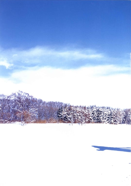 图片[61]-#藤本美贵 – リアル226 (见开连结済) - 全本免费在线观看-阅图吧