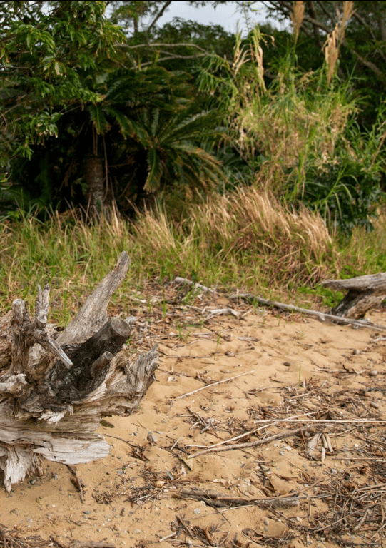 图片[2]-#宮園ことね 1st 写真集「First Shot」(alarm) - 全本免费在线观看-阅图吧