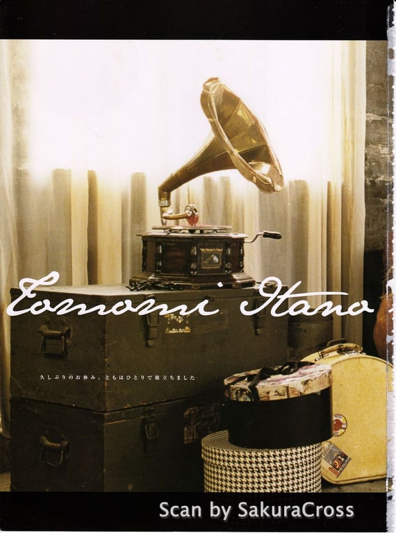 图片[3]-#Tomomi Itano 板野友美「TOMOCAWAII! VOL.3 In Autumn & Winter」 - 全本免费在线观看-阅图吧