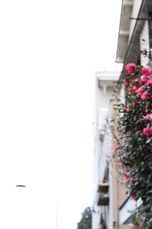 图片[84]-#Kana Mito 水户香奈 – A person who loves flowers 花を愛でる人 (2019-10-28) - 全本免费在线观看-阅图吧