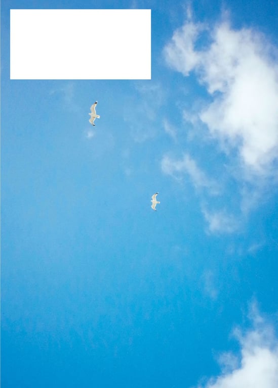 图片[166]-#Ikeda Elaiza 池田艾蕾莎 First Photobook pinturita (2019.05.31) - 全本免费在线观看-阅图吧