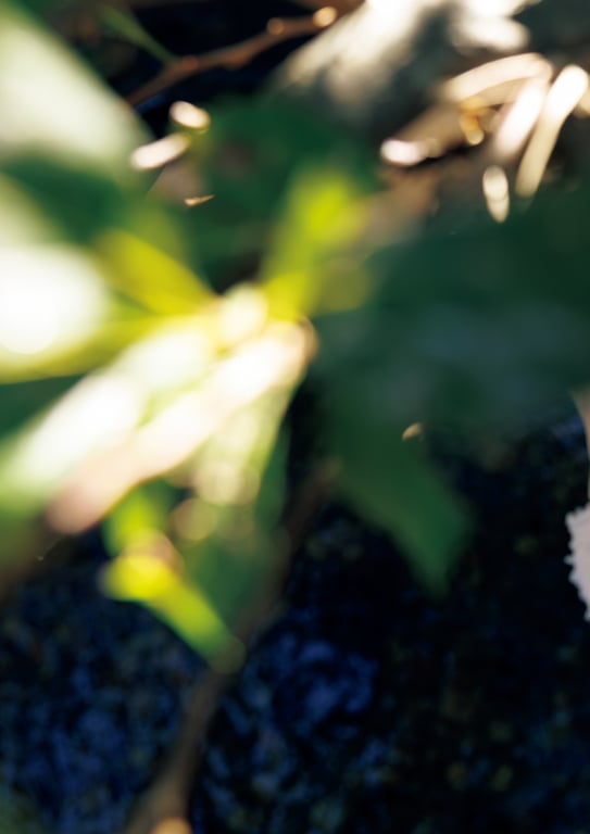 图片[98]-志田音々 3rd写真集『音色ーcantabileー』長崎・五島列島編 - 在线免费观看-阅图吧