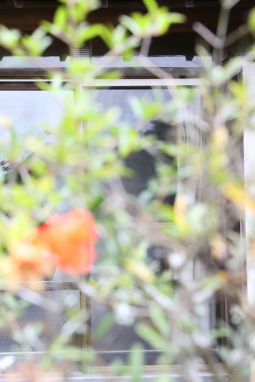 图片[146]-#川崎绫 秘藏档案总集编 PREMIUM数字写真集 - 全本免费在线观看-阅图吧