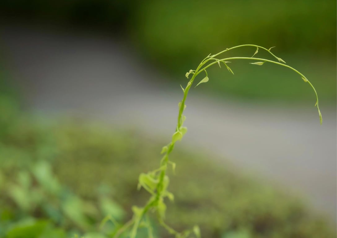 图片[3]-#桃里れあ 一日だけ的恋人 (Wunder Publishin House) - 全本免费在线观看-阅图吧