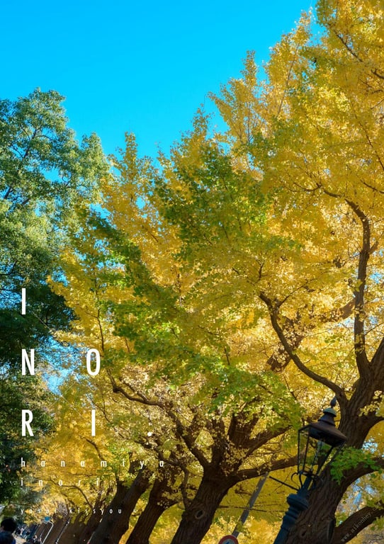 图片[4]-#INORI 花宫祈 1st e-book (Wunder_Publishing_House.) - 全本免费在线观看-阅图吧