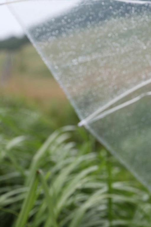 图片[73]-#FRIDAYデジタル写真集 现役庆应大学生美女 街山美穗「秘宿」 - 全本免费在线观看-阅图吧