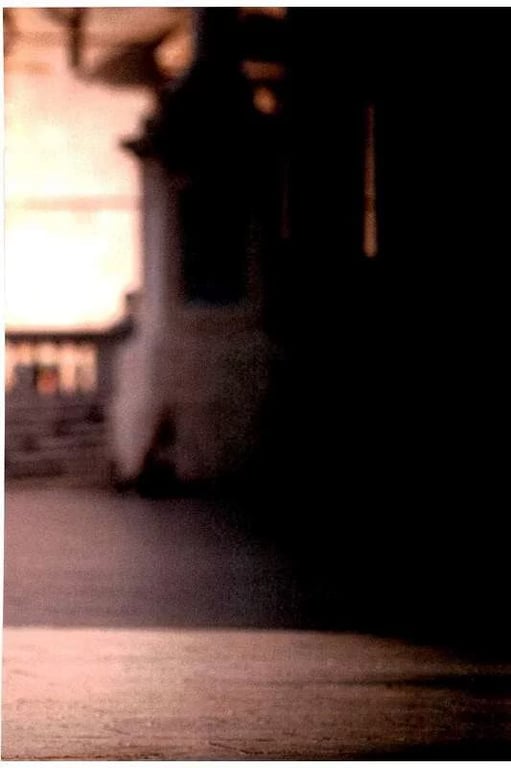 图片[6]-#2017.12.20 深田恭子写真集 palpito - 全本免费在线观看-阅图吧