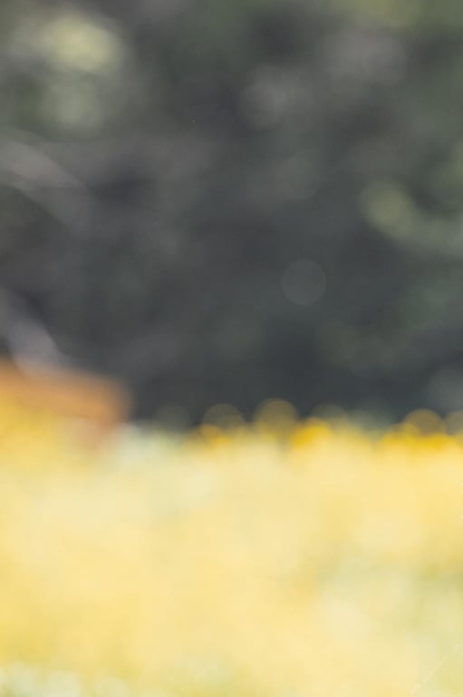 图片[2]-#Miu Nakamura 仲村美海 – Fairy (2018-08-06) - 全本免费在线观看-阅图吧