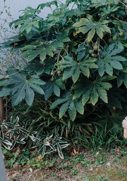 图片[99]-#七ツ森りりデジタル写真集 被拍走(No Watermark) - 全本免费在线观看-阅图吧