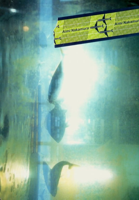 图片[59]-#(月刊シリーズ 045) – 月刊045 中村爱美 - 全本免费在线观看-阅图吧