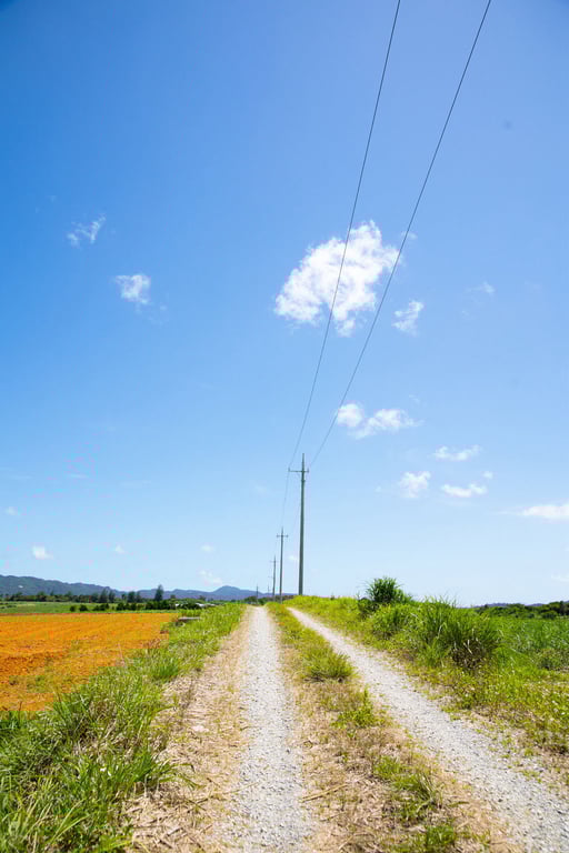 图片[3]-#CRAZY SUMMER 有贺美奈穗【裸体写真集】 - 全本免费在线观看-阅图吧