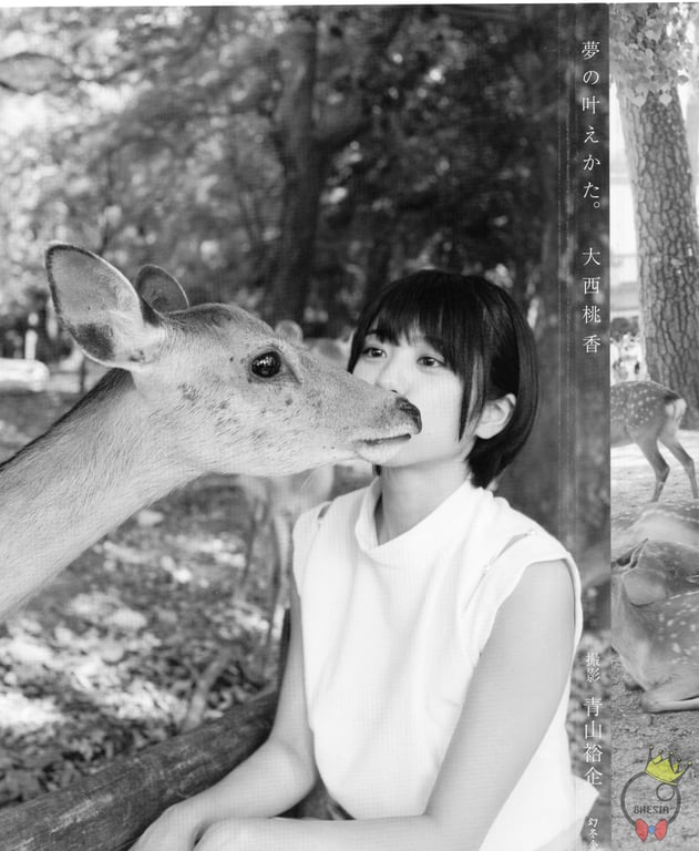 图片[158]-#AKB48 团队8 大西桃香1st写真集 梦的实现方法。 - 全本免费在线观看-阅图吧