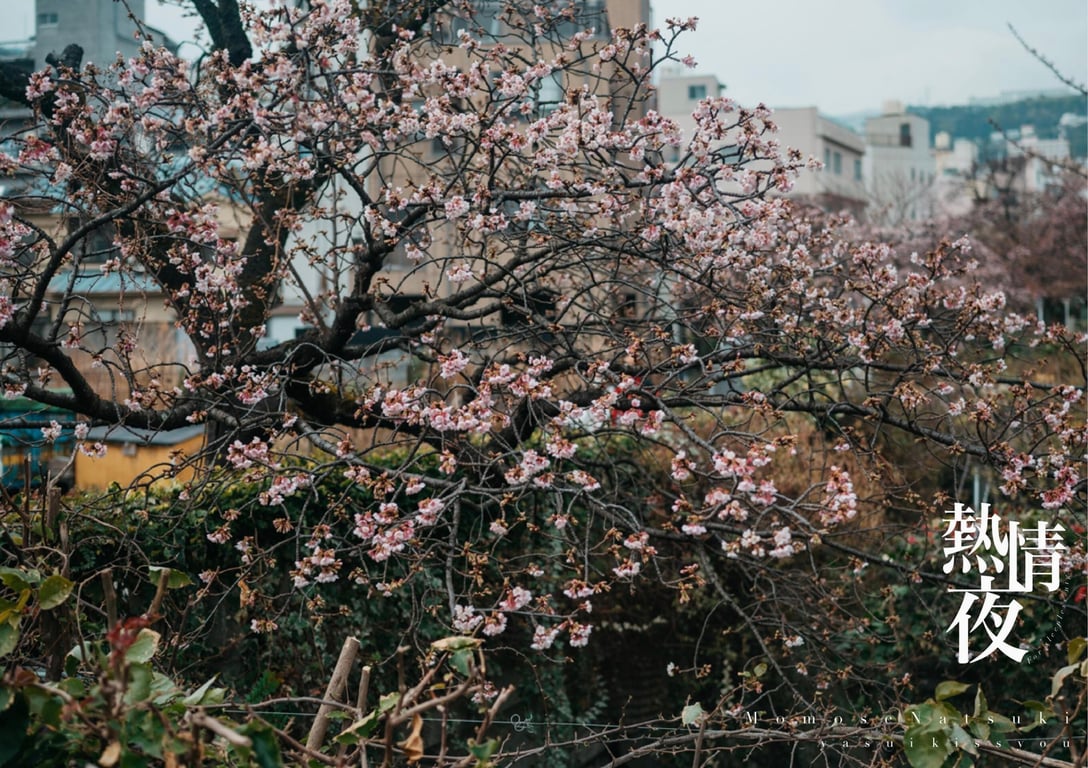 图片[5]-#百瀬菜月 写真集 热情夜 (Wunder Publishing House) - 全本免费在线观看-阅图吧