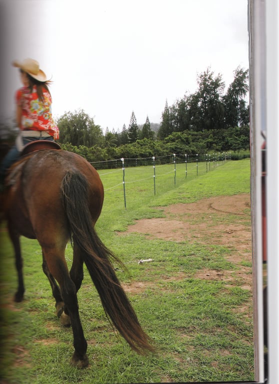 图片[11]-#石川梨華写真集 『华恋』 - 全本免费在线观看-阅图吧