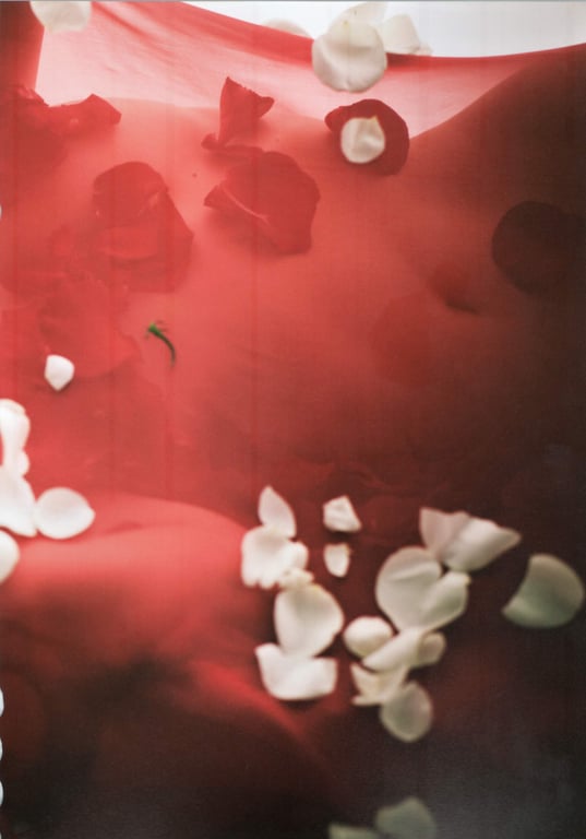 图片[62]-Anri Sugihara 杉原杏璃 - AnRibbon - 在线免费观看-阅图吧